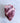 Pork Heart