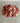 Pork Cheek