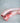 Lamb Trachea
